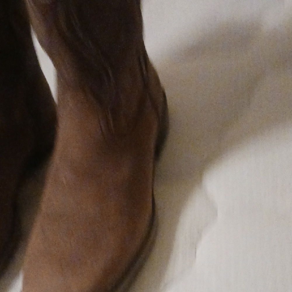 LOWERED PRICE Ariat Insulated Water Proof Size 8B Boots  Brown,